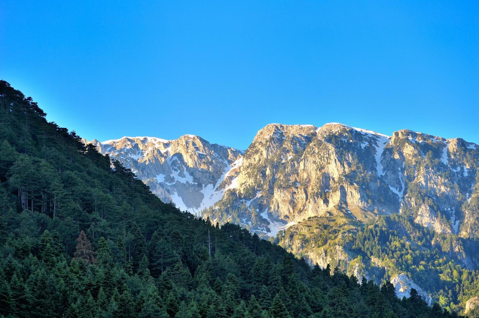 Konitsa Mountain Hotel エクステリア 写真